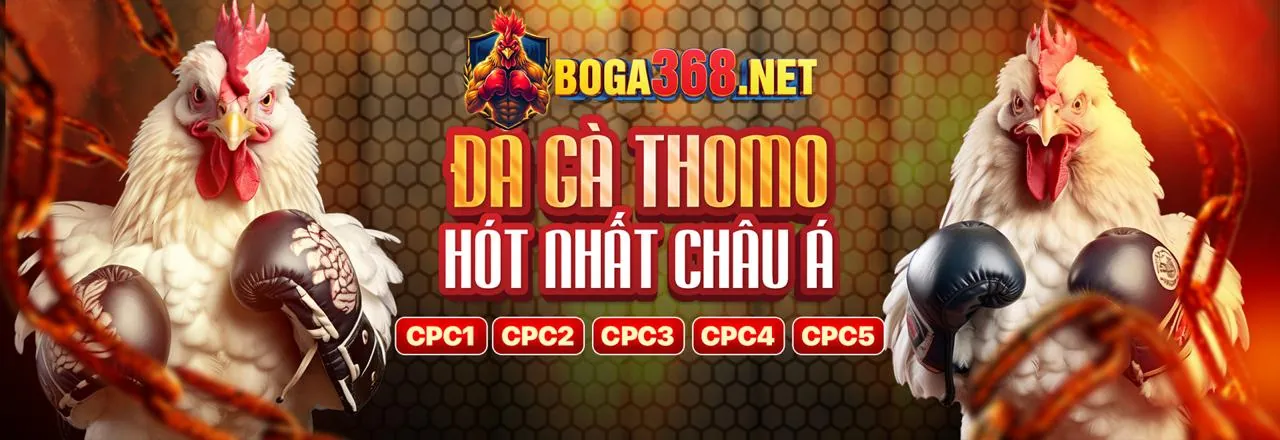 Hình ảnh chính blog 789BET111 với tin tức và chiến lược cá cược